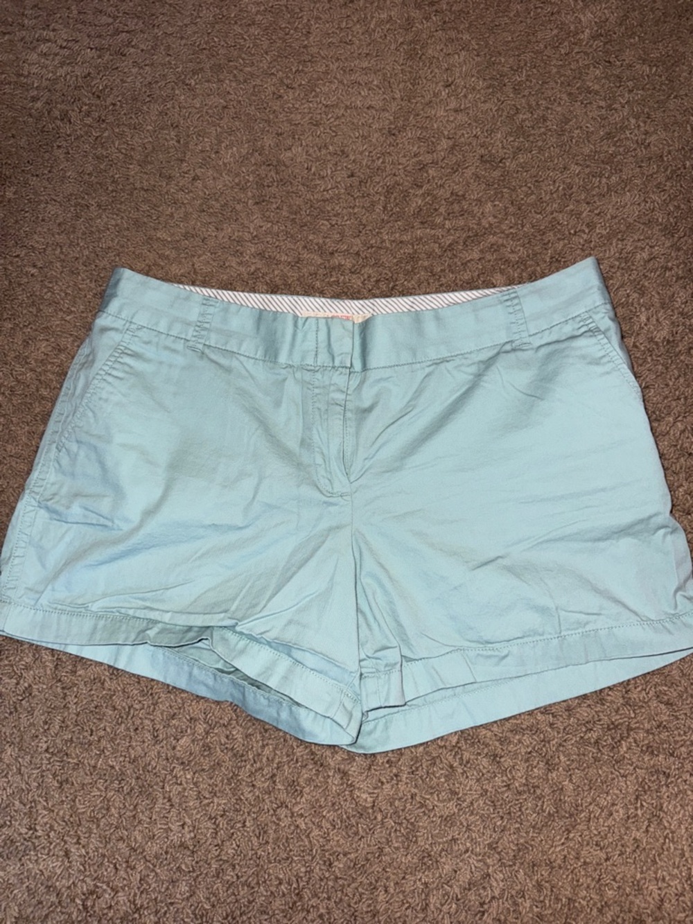 J. Crew Light Blue Cotton Casual Shorts